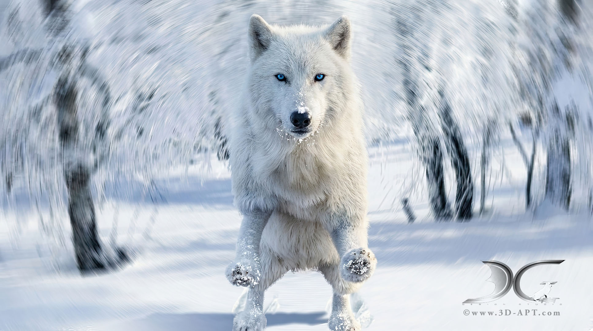 3d_characters_wolf_24