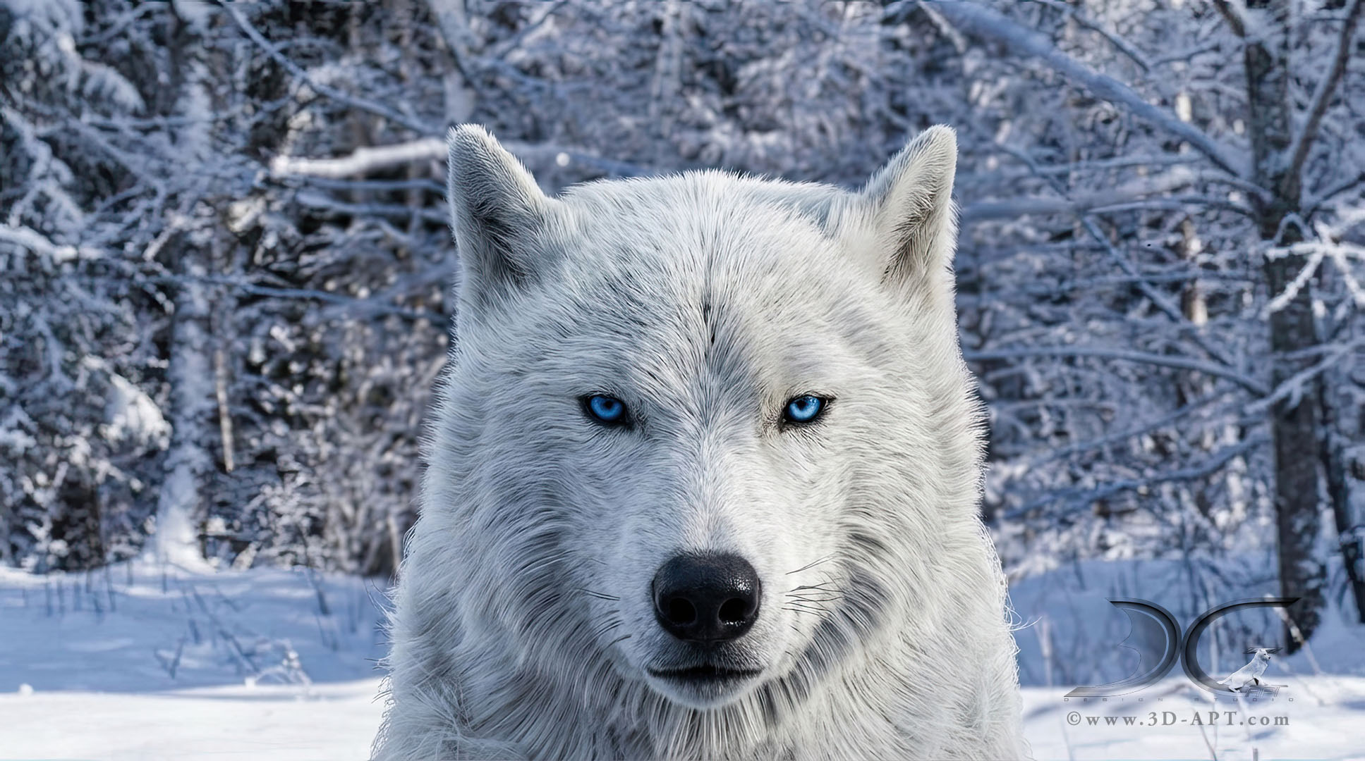 3d_characters_wolf_27