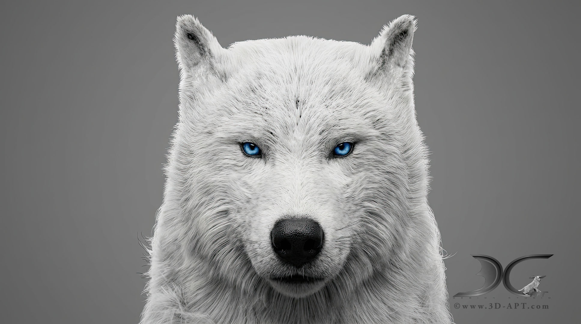 3d_characters_wolf_28