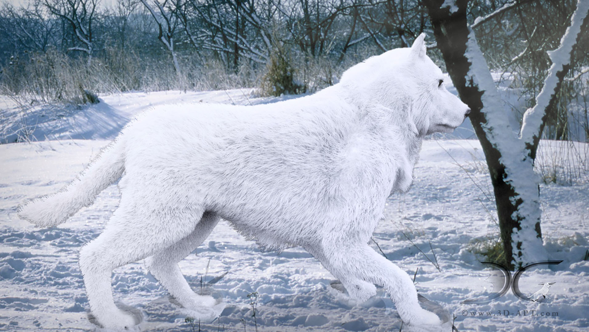3d_characters_wolf_32