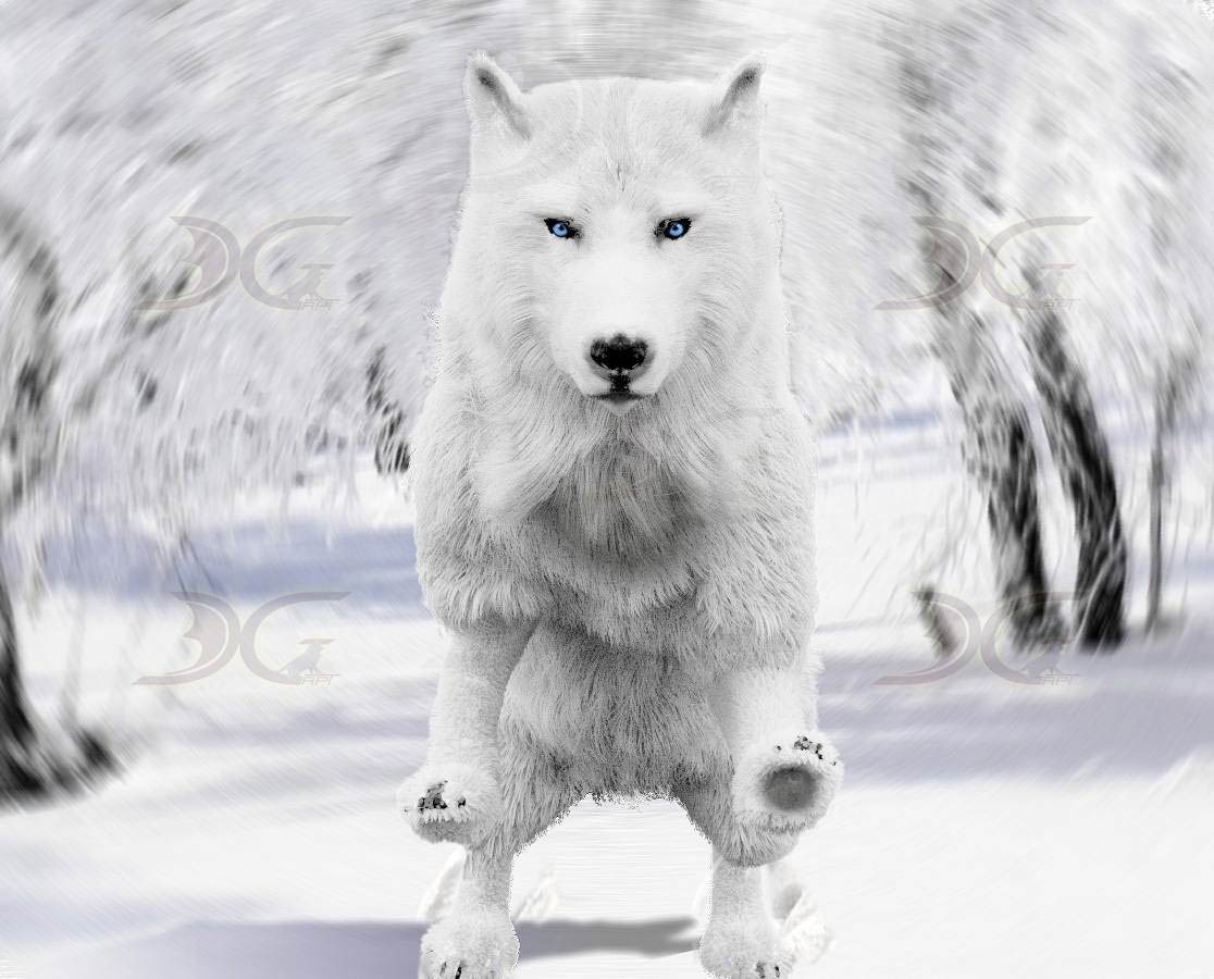3d characters wolf 5