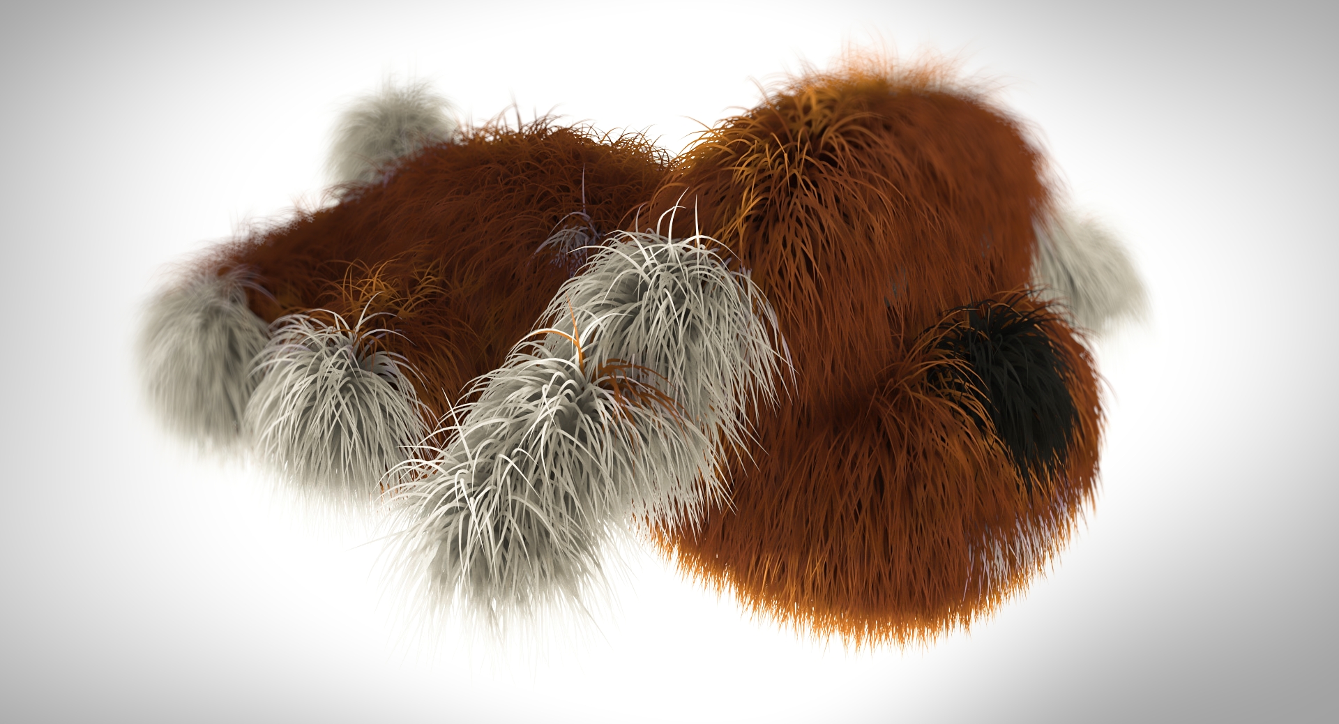 3d objects Pluffy dog 006