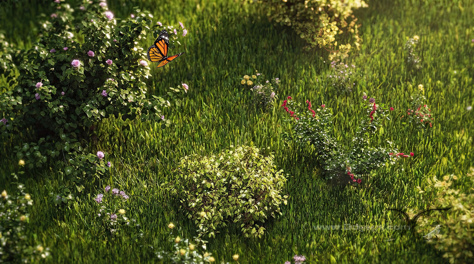 3d_objects_butterfly_28