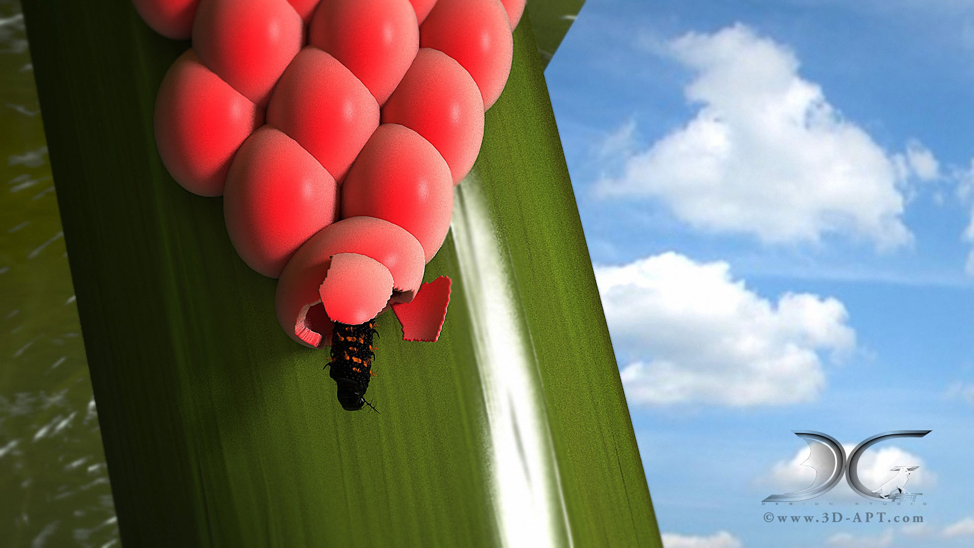 3d_objects_butterfly_34