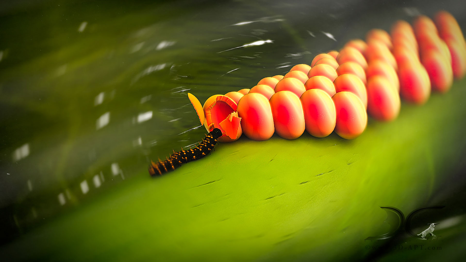 3d_objects_butterfly_42