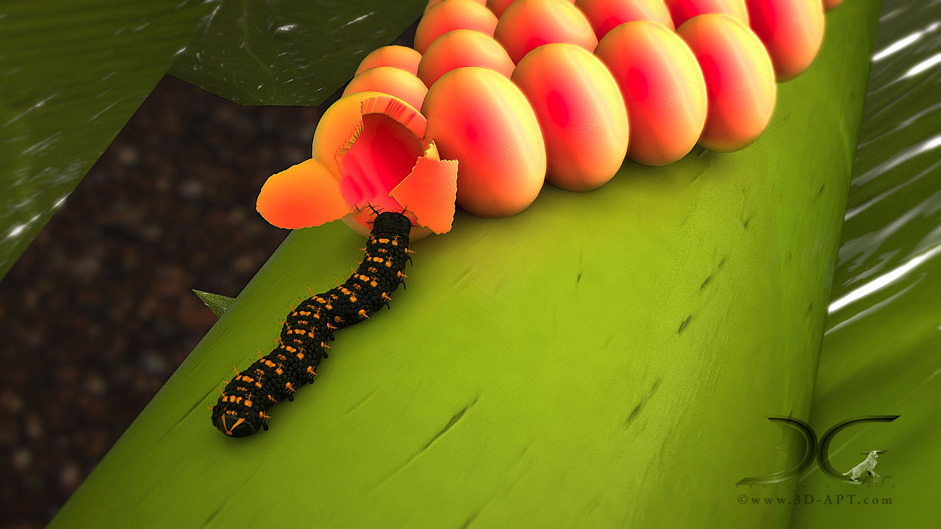 3d_objects_butterfly_43