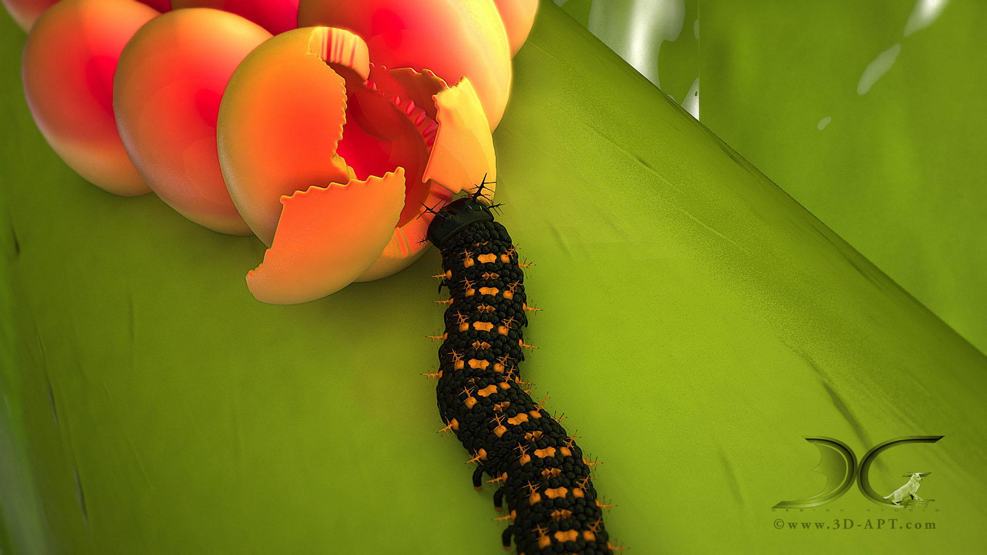 3d_objects_butterfly_45