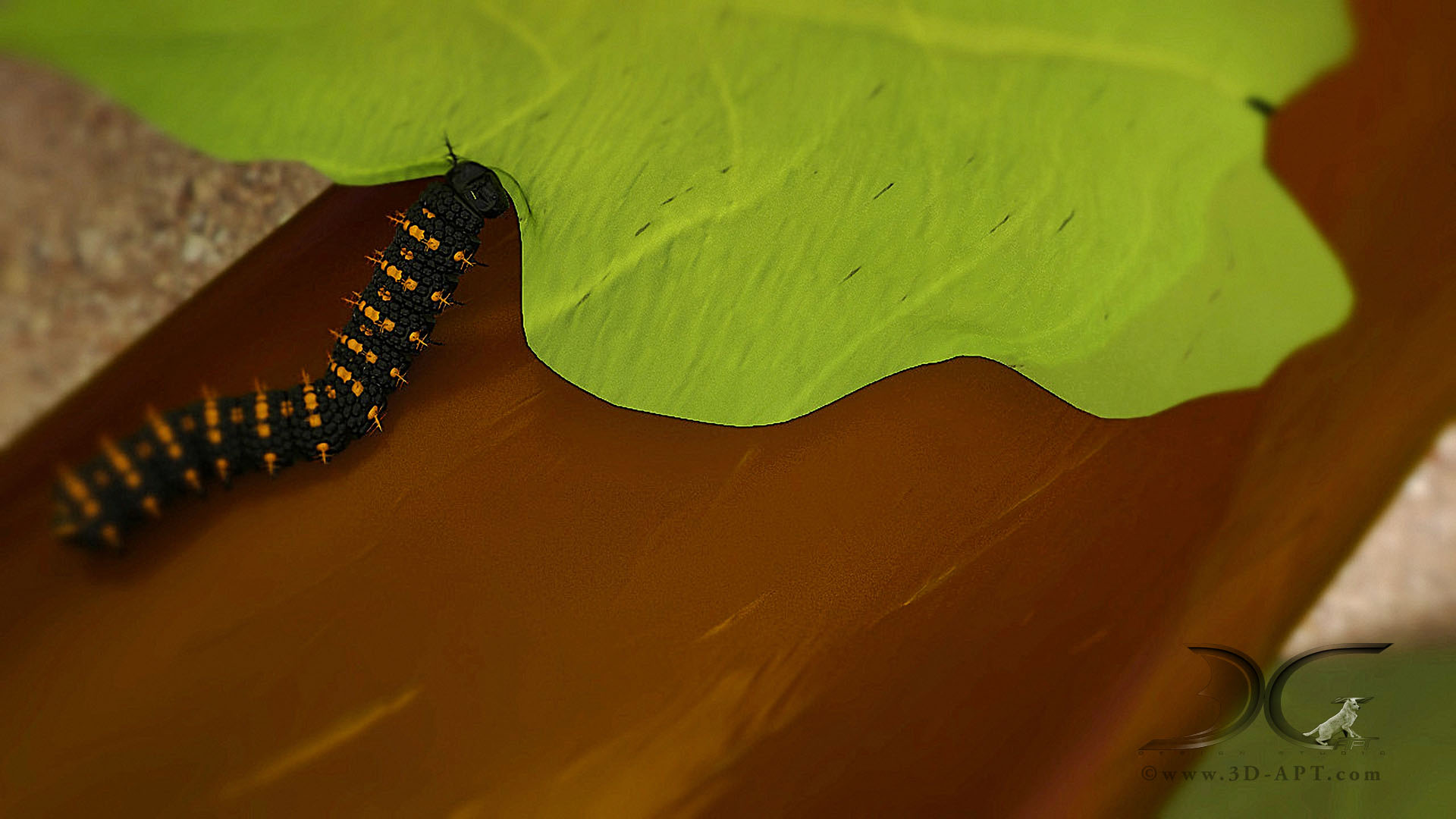 3d_objects_butterfly_48