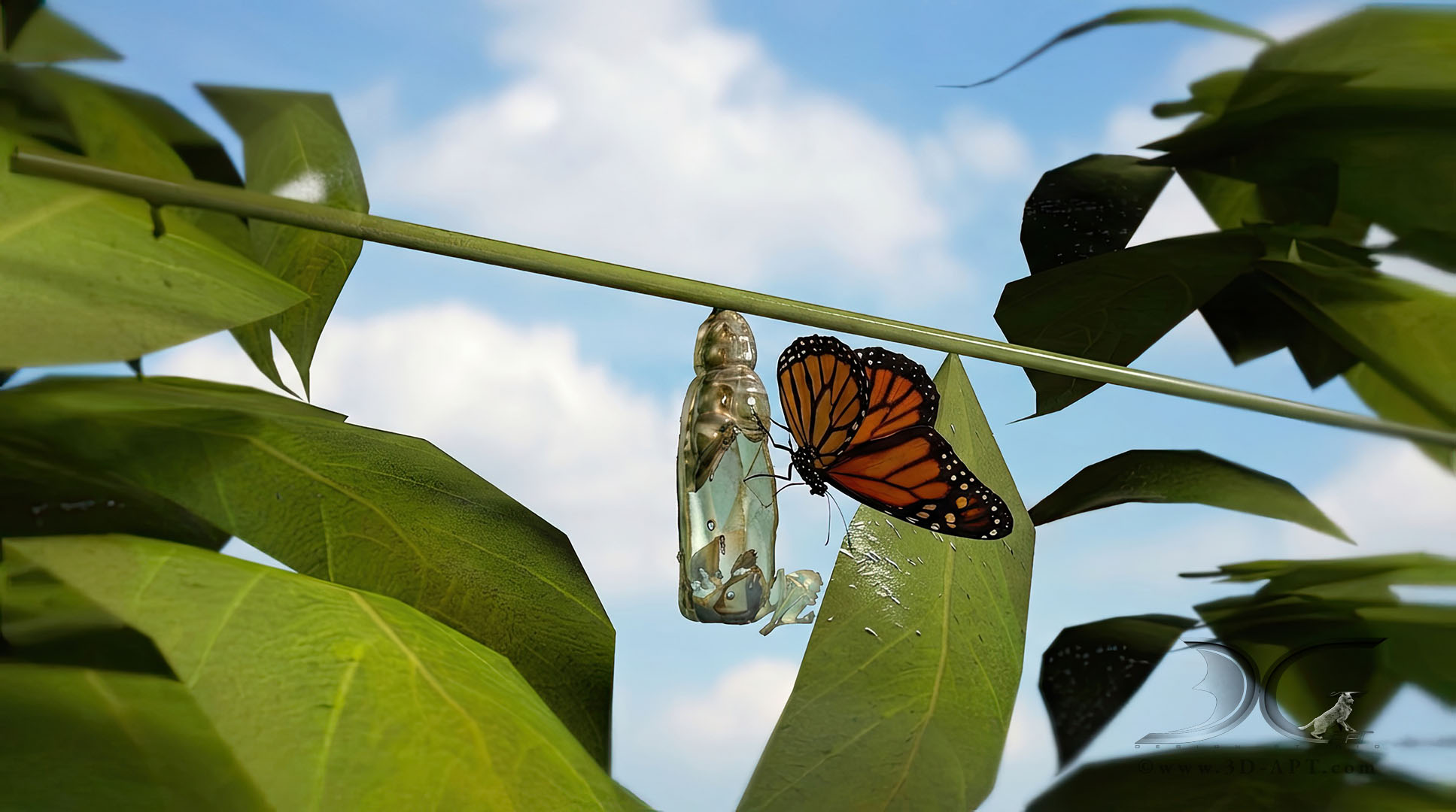 3d_objects_butterfly_76