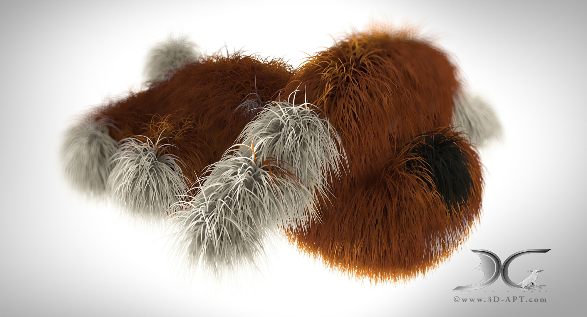 3d_objects_fluffy_dog_34