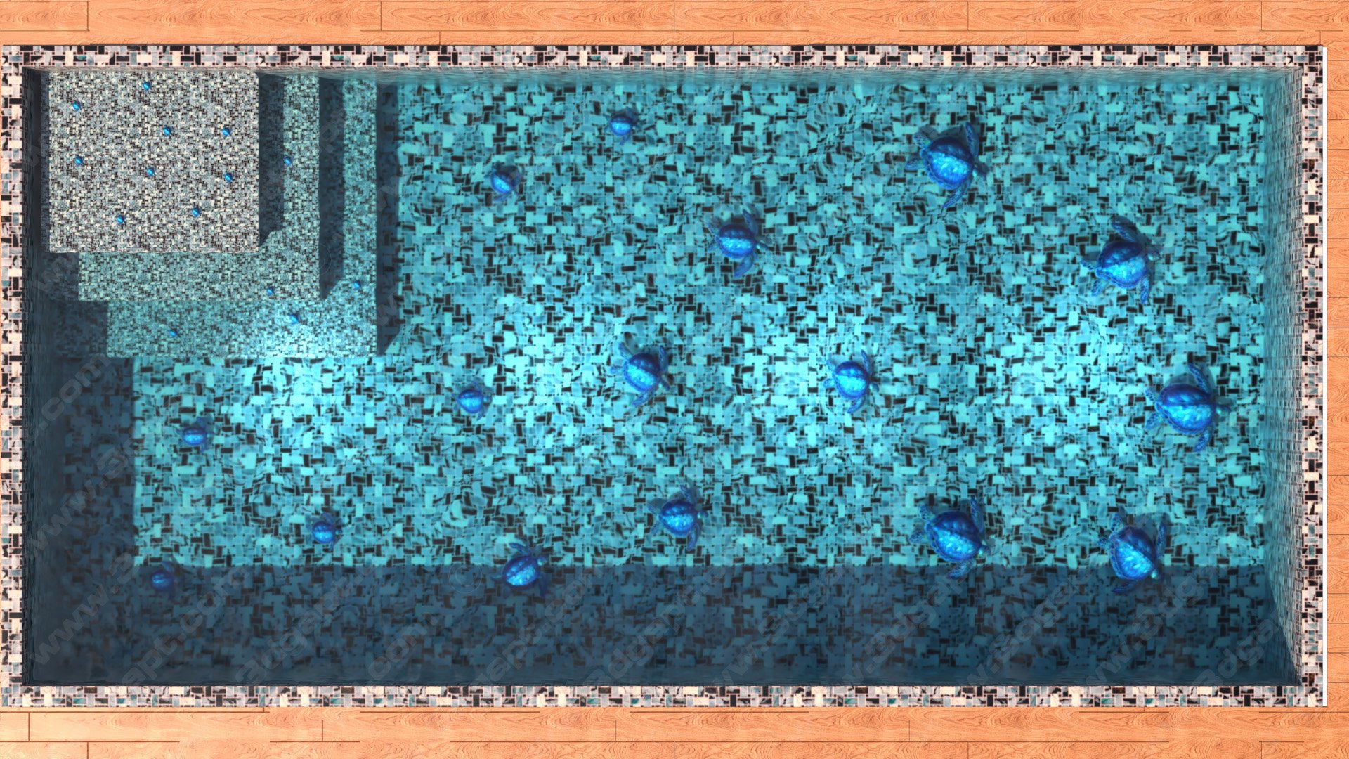 Pool with 3d turtles on the floor - Alternative version 18