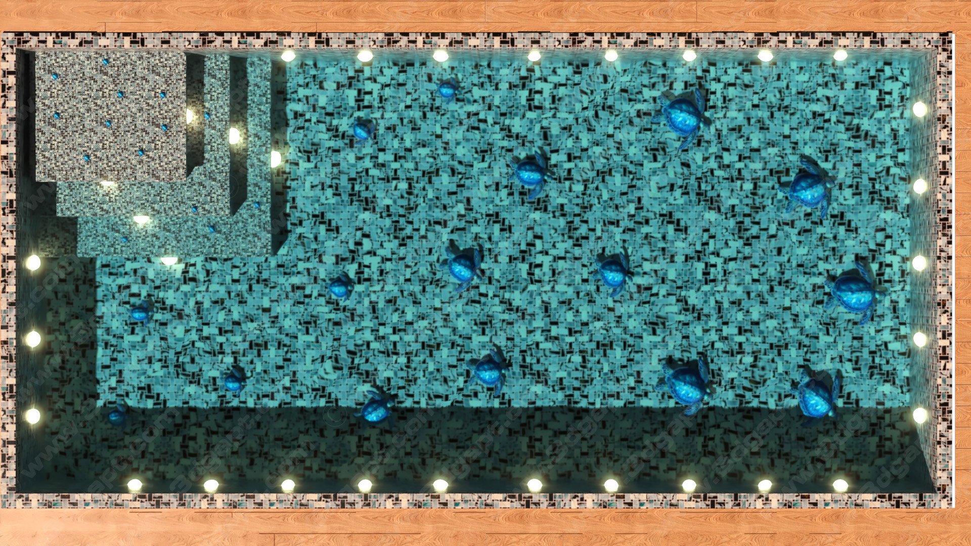 Pool with 3d turtles on the floor - Alternative version- 23